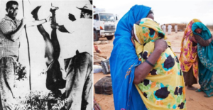 Massacre at 11th Parallel 1963, Sehjanna Darfur 2011